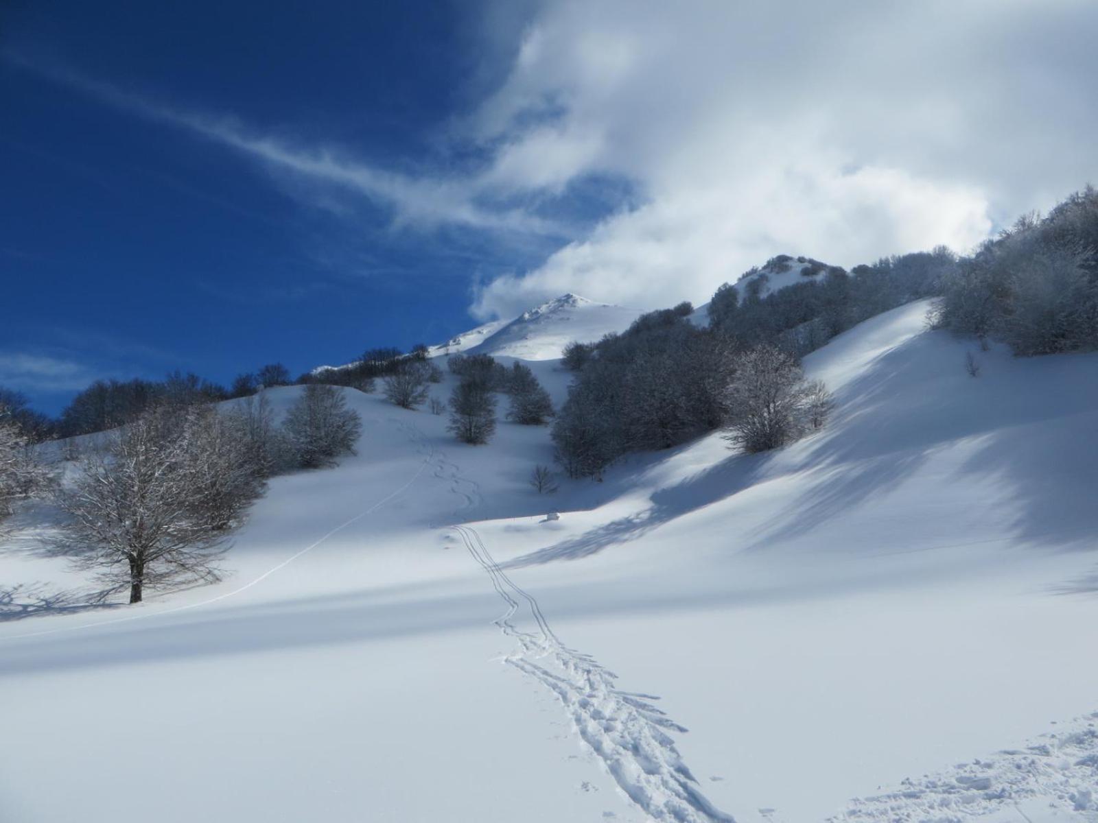 B&B Vivilmatese Roccamandolfi Exterior photo