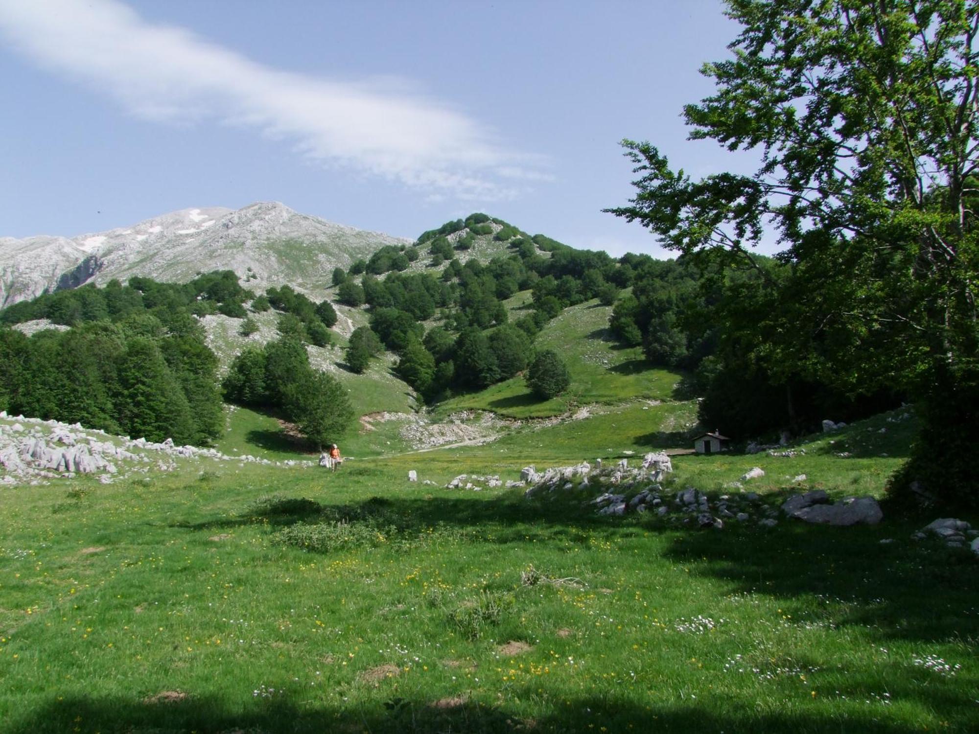 B&B Vivilmatese Roccamandolfi Exterior photo